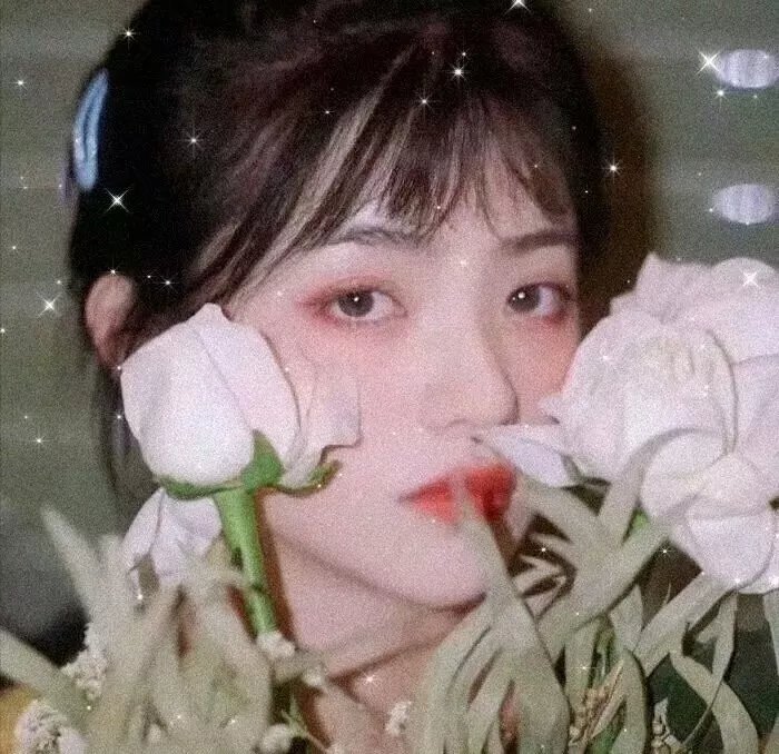风流模特儿
